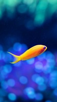 descargar wallpaper de animales